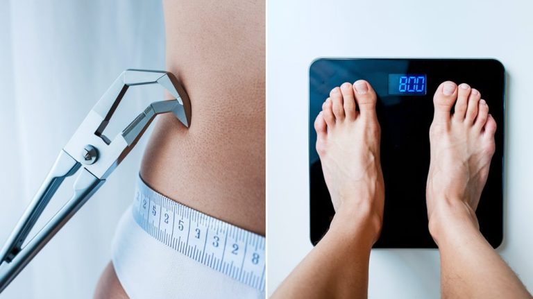 belly fat tracking comparison methods